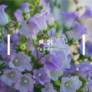 余光风铃