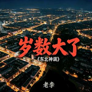 岁数大了(东北神调)