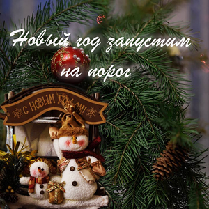 Новый год запустим на порог