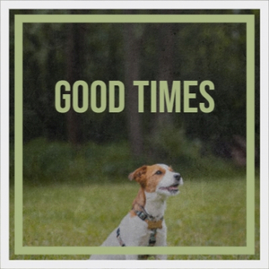 Don't Think It Ain't Been Fun, Dear 'Cause It Ain't