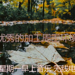 优美办公室器乐