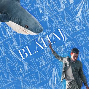 Blåhaj (Radio Edit) (Radio Edit)