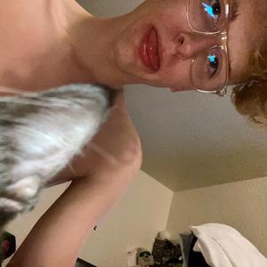 The 4 Corners of the Acid House