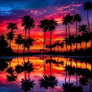 Halo Me (feat. Dojia v)