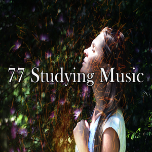 沉浸在你的灵魂中