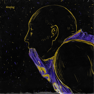 Analog