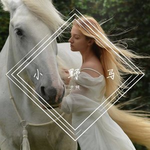 小野马