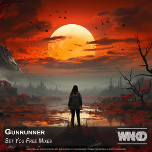 Set You Free (Original Mix)