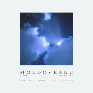 Ripples of Moonlight