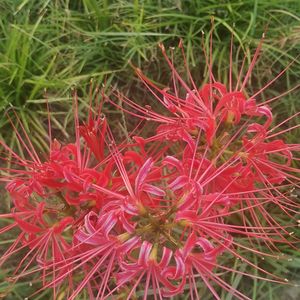 立体声合成_四重罪孽(1)