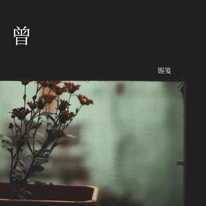 曾