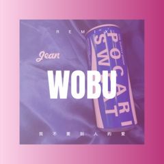 我不要别人的爱 (DJ版)