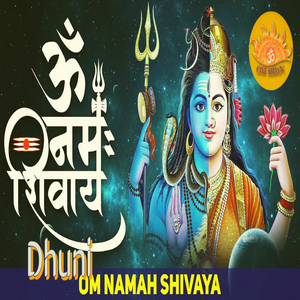 Om Namah Shivaya Dhuni