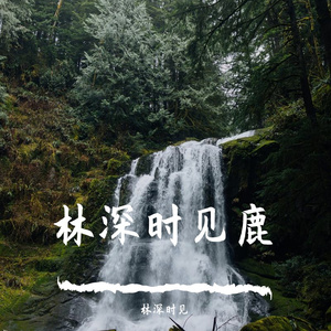 海绵宝