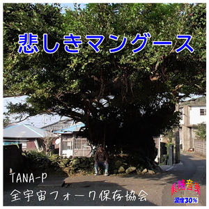 悲しきマングース