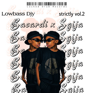 Dlala Lowbass Vol.2