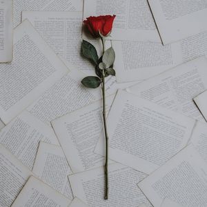 一生所爱（Demo）