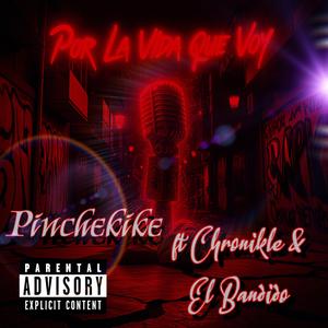 Por La Vida Que Voy (feat. Chronikle & Bandido)