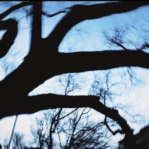 模糊记忆（vague memory）