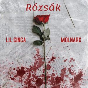 Rózsák (feat. MOLNARX)