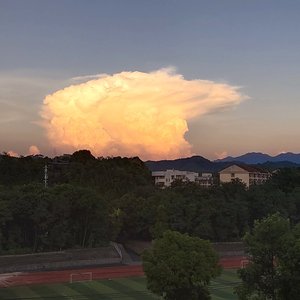 橘子(原唱：Tizzy T 洪一诺)