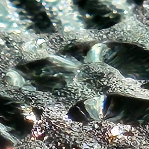 I Am Too Afraid To Move