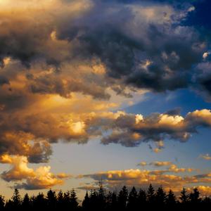 Need To Believe(1991)