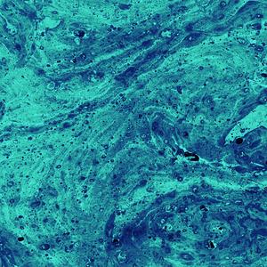 DRAINING (feat. Brandon Harris)