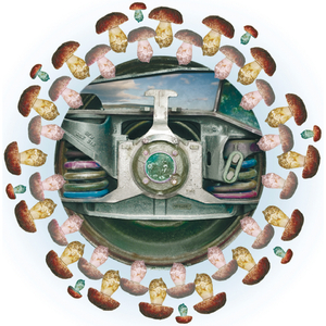 Alla Ricerca del Silenzio Perduto Il Treno di John Cage:II. Bologna - Lugo - Ravenna