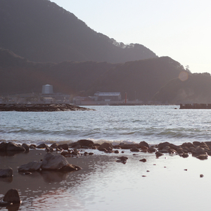 海辺の散歩