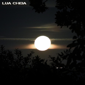 Lua Cheia
