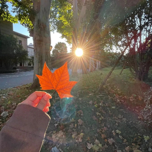 怕依赖与失新鲜