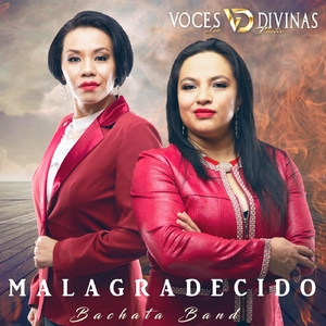 Malagradecido (Bachata Band)