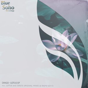 Cercis (Original Mix)