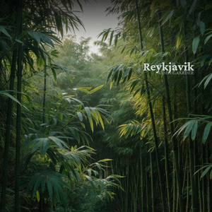 Reykjavik