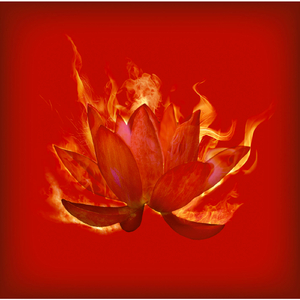 紅蓮（「NARUTO-ナルト- 疾風伝」OP ver.）