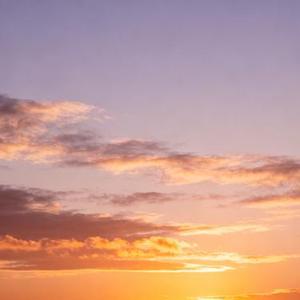 过去的事情不再想