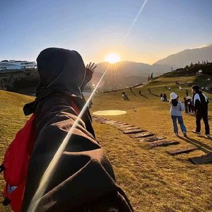 蒲公英乘风而起