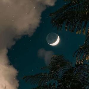 我不希望你孤单的去面对整个喧哗世界demo