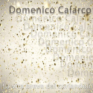 La vita breve dei coriandoli