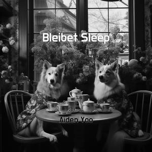 Bleibet Sleep