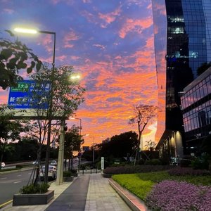 旋律V6