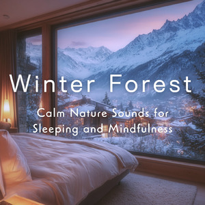 心を癒す優しいアンビエント δ波 ソルフェジオ周波数が快眠へ導く