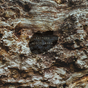 Lost (Tony Gribsun Radio Edit)