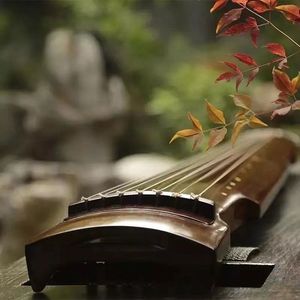 脾胃经 音疗音乐 古琴