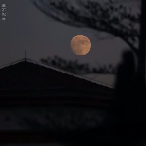 爱不完美（爱本就不完美）