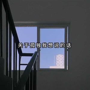 关于孤独我想说的话