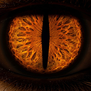 Nove Caudas – Rap da Kurama