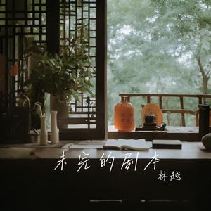 未完的剧本