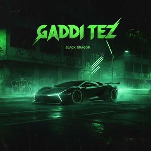 Gaddi Tez